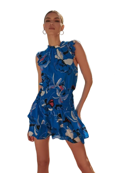 The Emerson Mini Dress