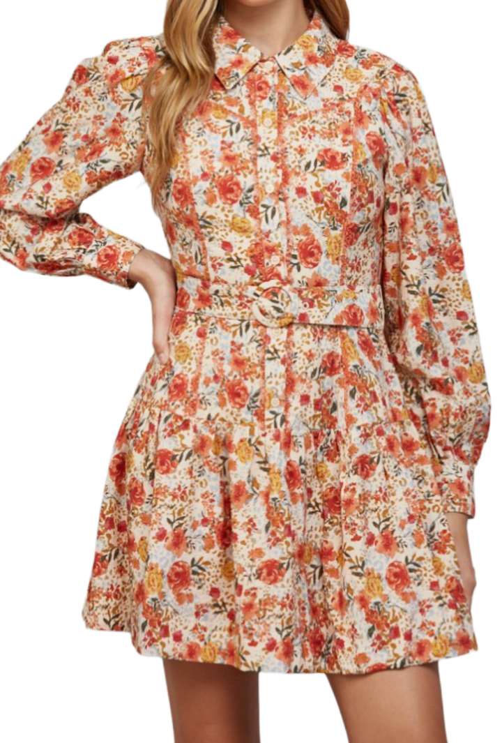 The Rosanna Mini Dress