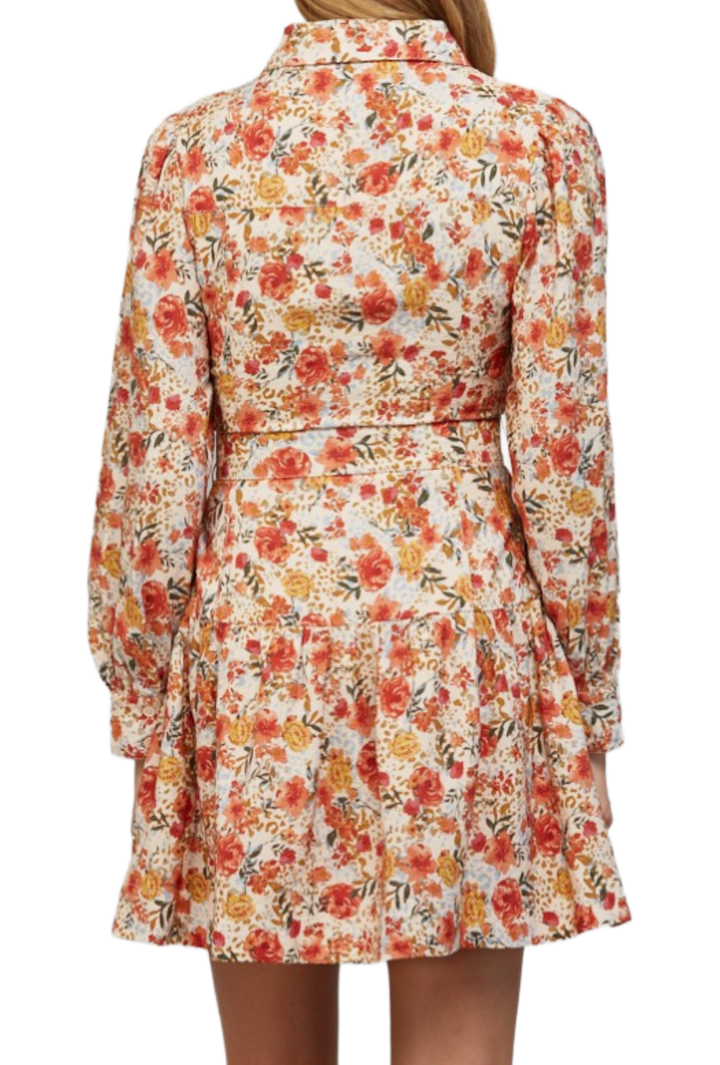 The Rosanna Mini Dress