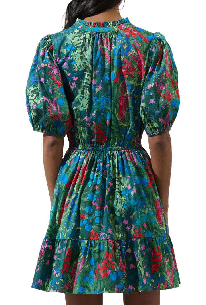 The Devon Mini Dress