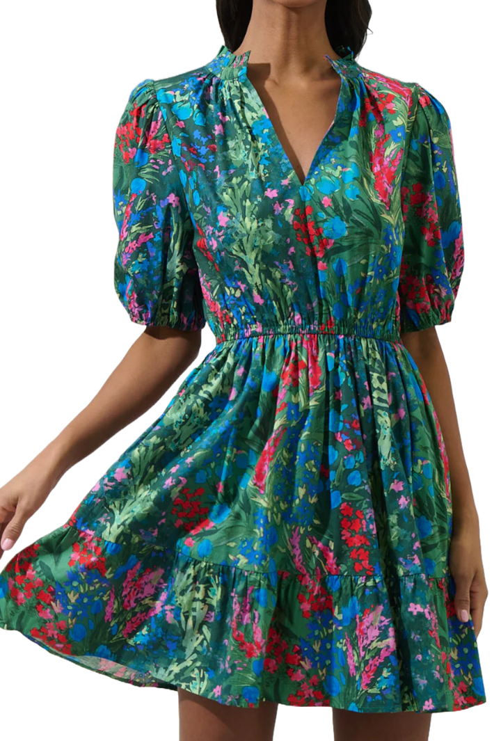 The Devon Mini Dress