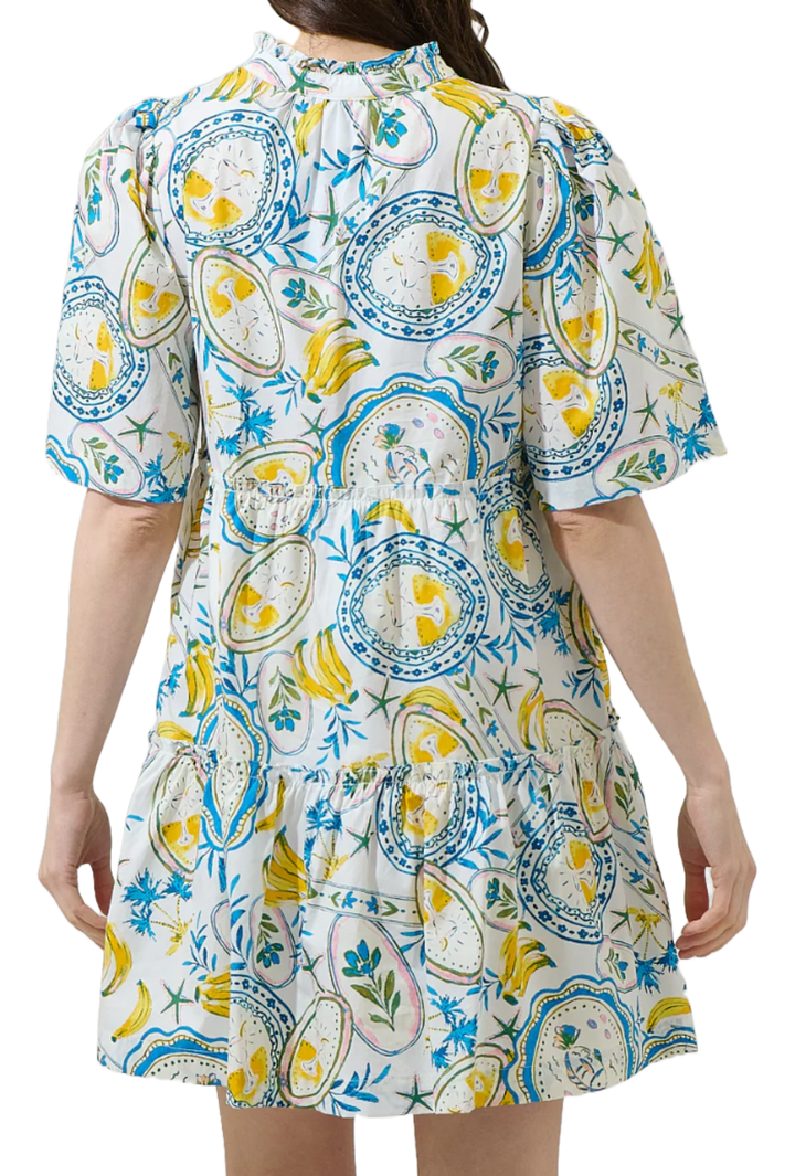 The Daphne Mini Dress