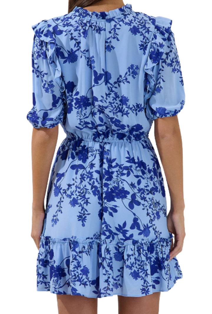 The Florence Mini Dress