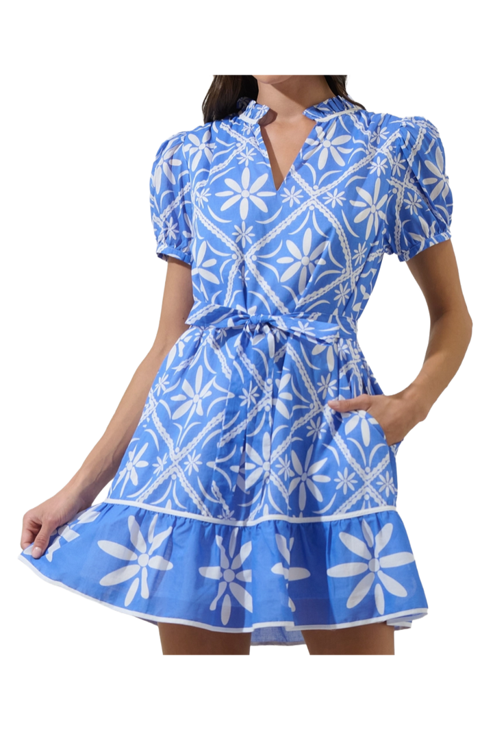 The Aromas Mini Dress