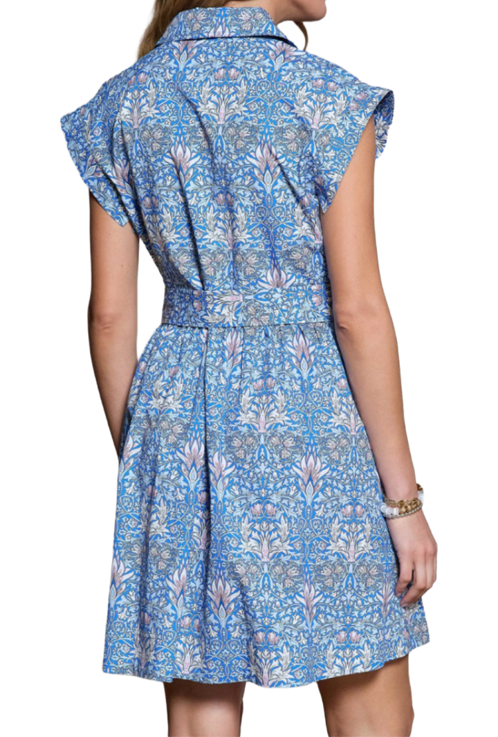 The Serendipity Mini Dress