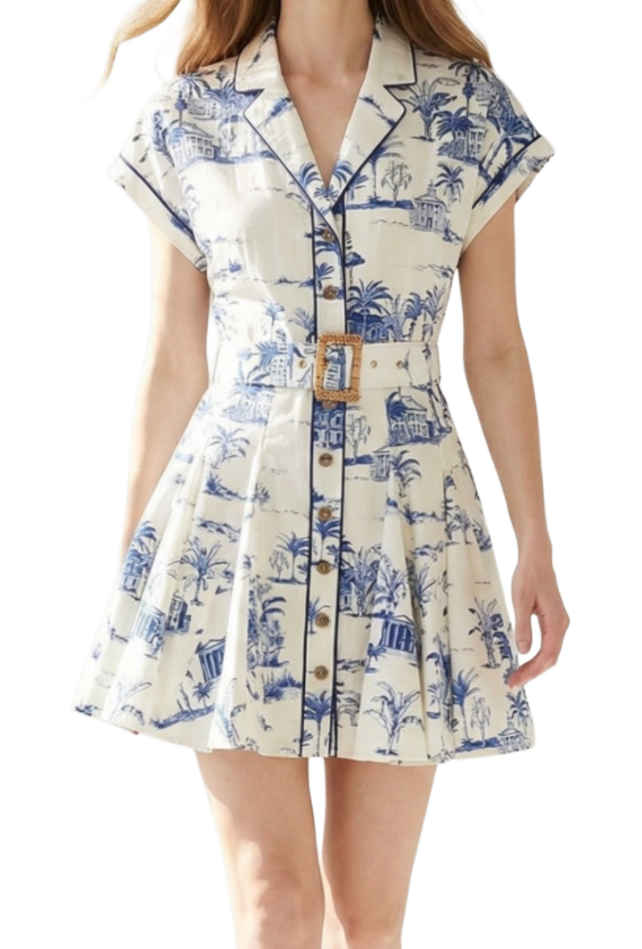 The Adelaide Mini Dress