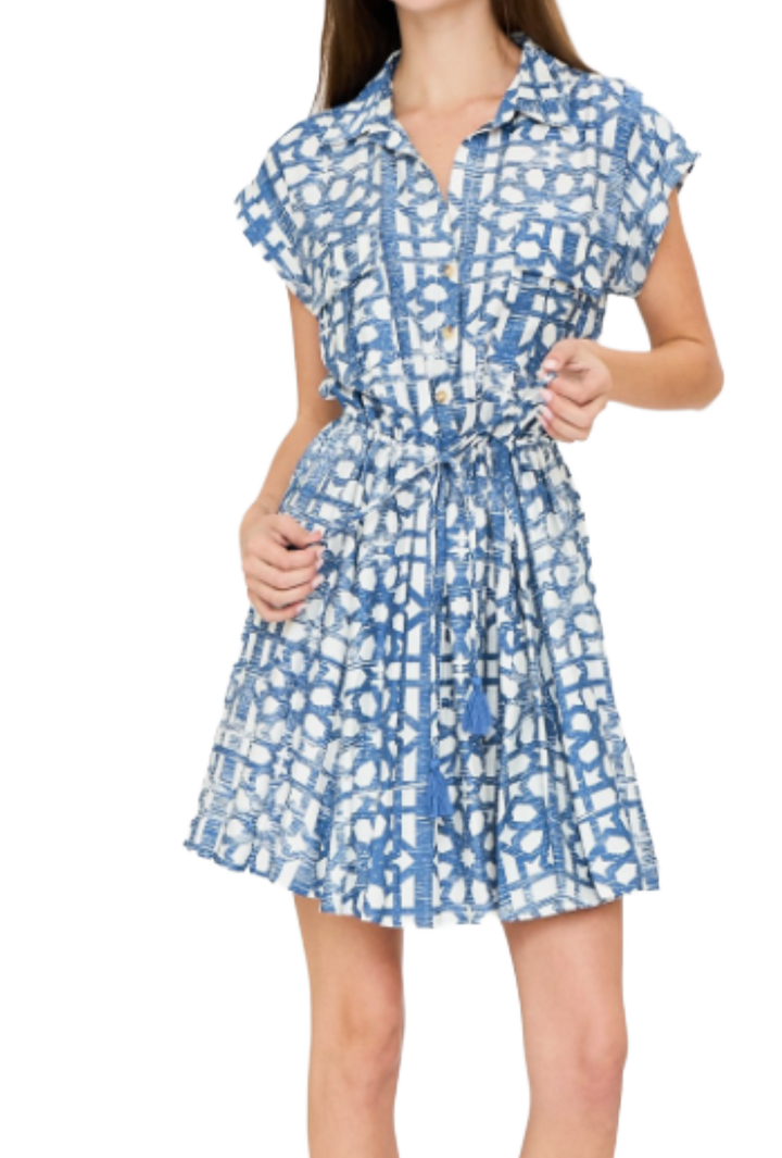 The Penny Mini Dress