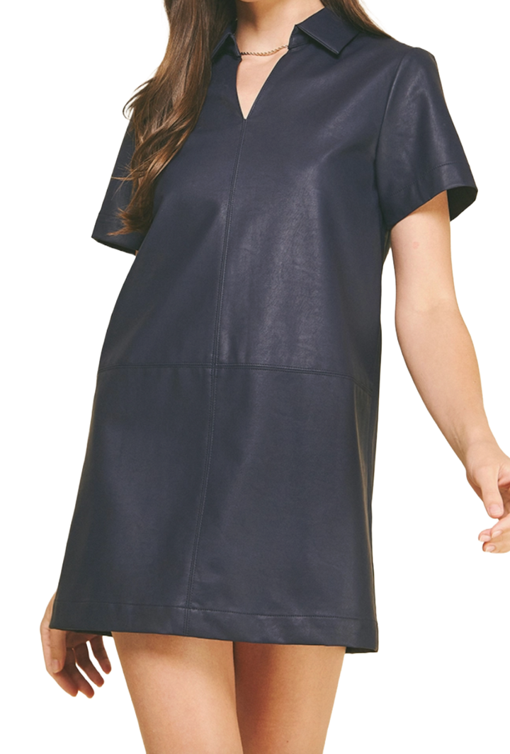 The Onyx Mini Dress