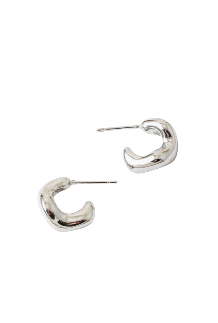 The Robin Earrings- Silver