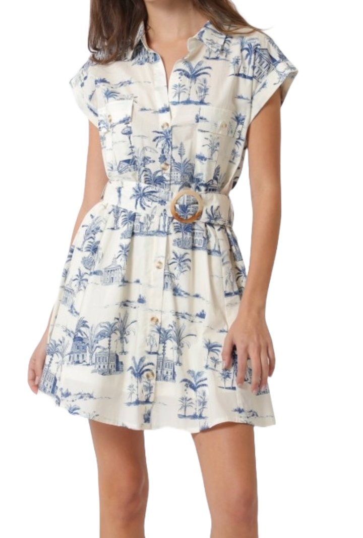 The Calantha Mini Dress