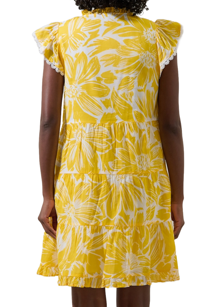 The Aliana Mini Dress