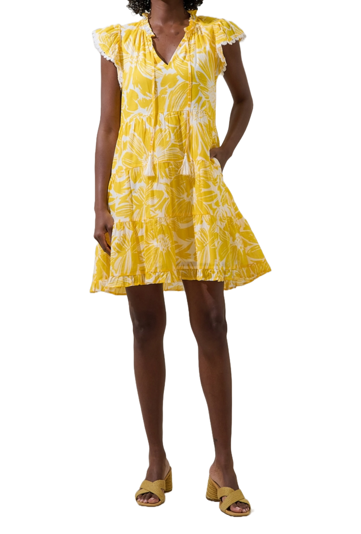 The Aliana Mini Dress