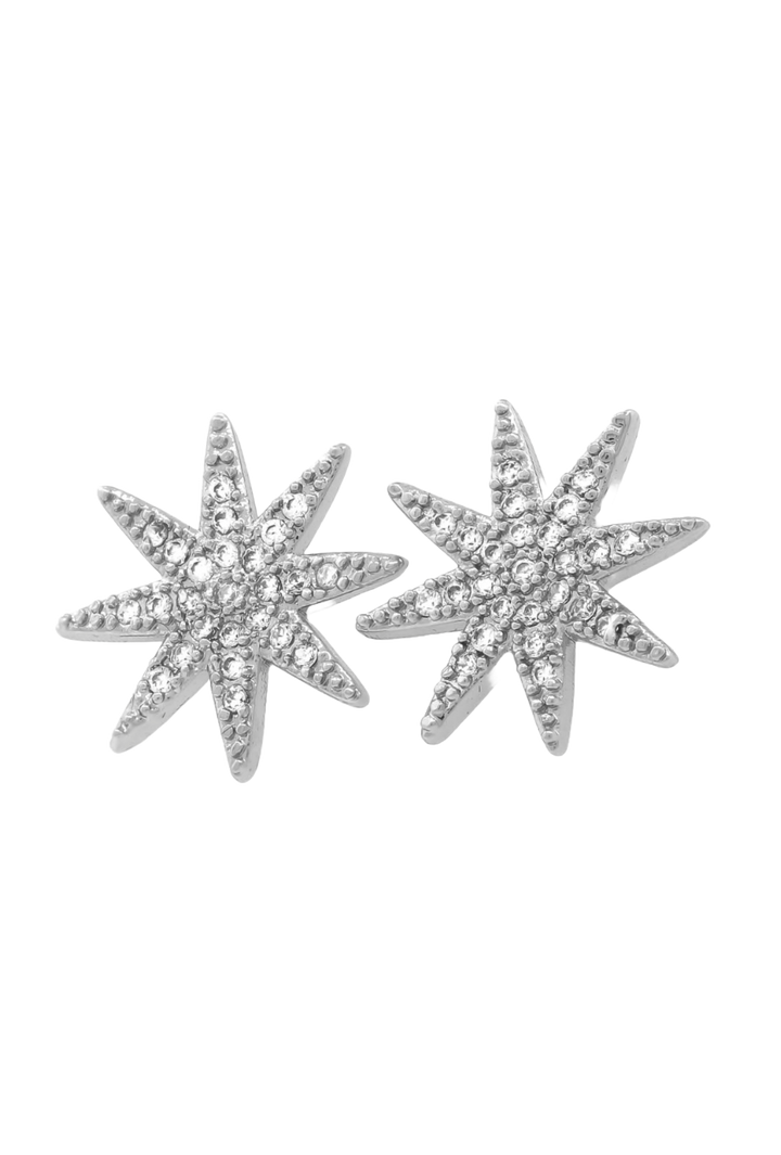 The Harlow Earrings- Silver
